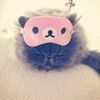 anacat0000